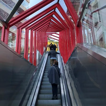 Contemporaneo Y Centrico ヴィーゴ