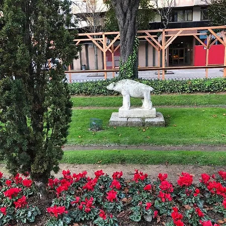 Contemporaneo Y Centrico Виго