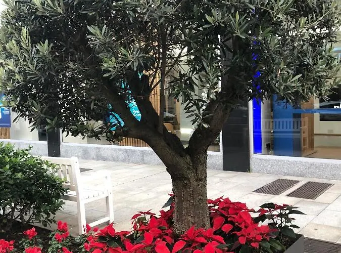 Contemporaneo Y Centrico Apartament Vigo