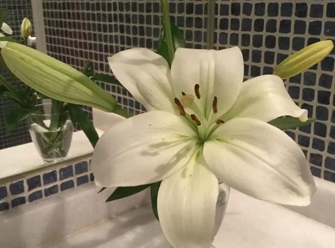 Apartament Contemporaneo Y Centrico